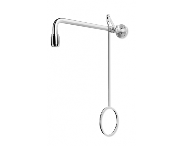 PremiumLine body safety shower, wall mounted, exposed pipework