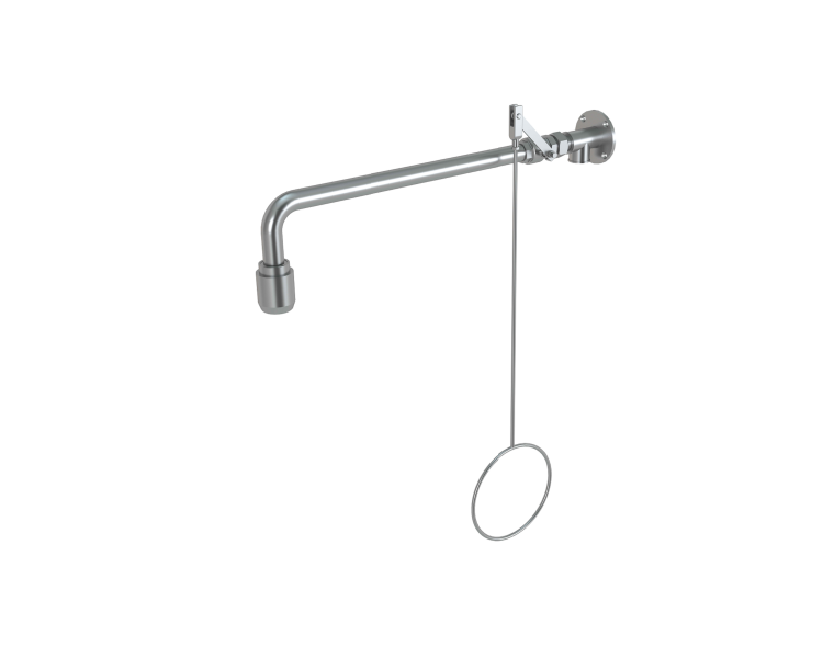 PremiumLine body safety shower, wall mounted, exposed pipework