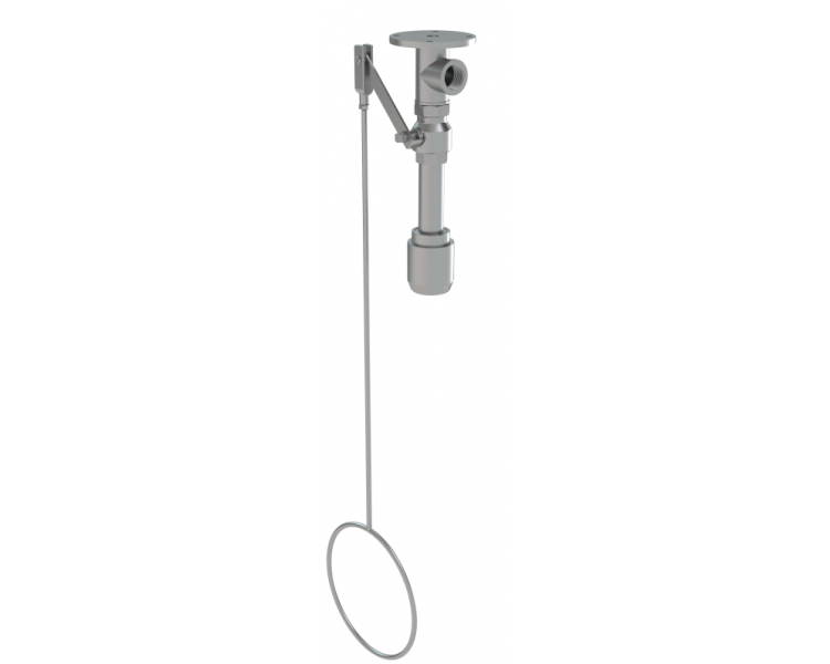 PremiumLine body safety shower, ceiling mounted, exposed pipework